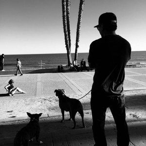 Meet your Posher, Kevin